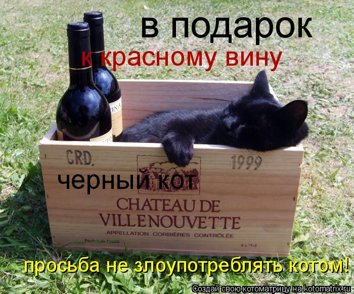 Котоматрица: в подарок к красному вину черный кот просьба не злоупотреблять котом!