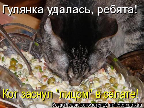 Котоматрица: Гулянка удалась, ребята! Кот заснул "лицом" в салате!