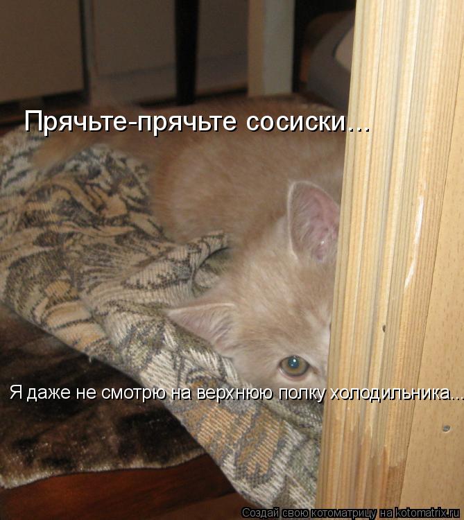 Котоматрица: Прячьте-прячьте сосиски... Я даже не смотрю на верхнюю полку холодильника...