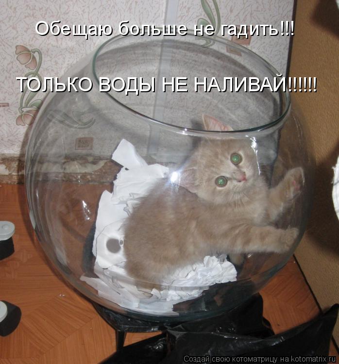 Котоматрица: Обещаю больше не гадить!!! ТОЛЬКО ВОДЫ НЕ НАЛИВАЙ!!!!!!