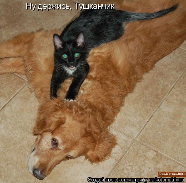 Котоматрица: Ну держись, Тушканчик