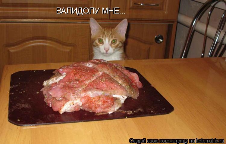 Котоматрица: ВАЛИДОЛУ МНЕ...