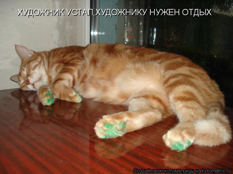 Котоматрица: ХУДОЖНИК УСТАЛ,ХУДОЖНИКУ НУЖЕН ОТДЫХ