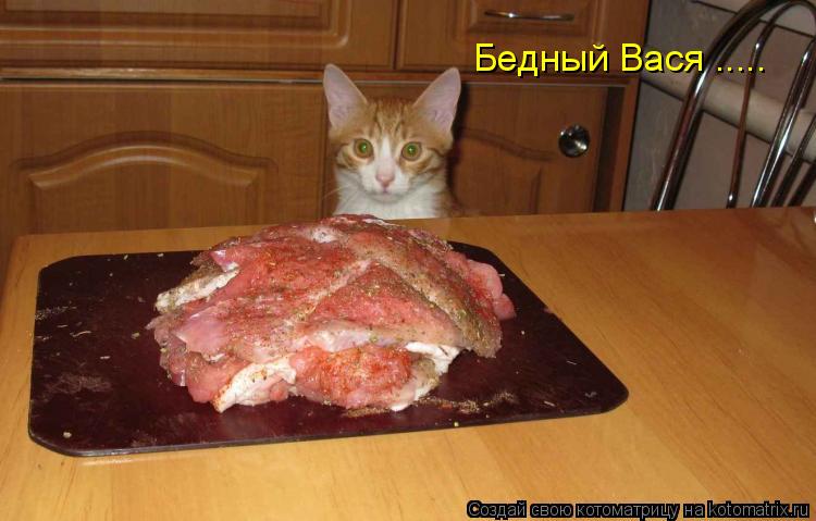 Котоматрица: Бедный Вася .....