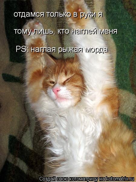 Котоматрица: отдамся только в руки я тому лишь, кто наглей меня PS: наглая рыжая морда