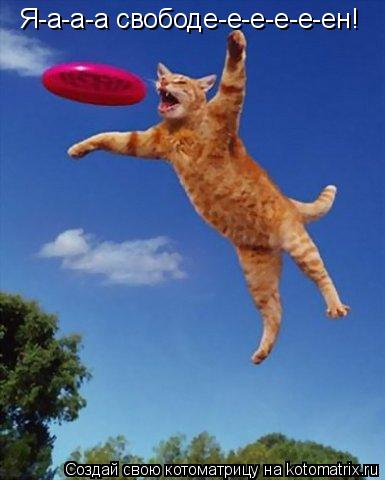 Котоматрица: Я-а-а-а свободе-е-е-е-е-ен!