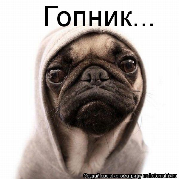 Котоматрица: Гопник...