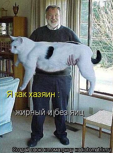Котоматрица: Я как хазяин : жирный и без яиц