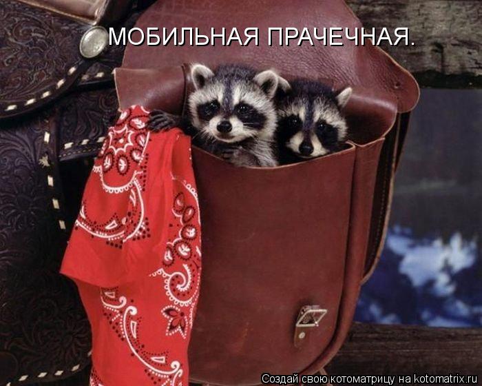 Котоматрица: МОБИЛЬНАЯ ПРАЧЕЧНАЯ.