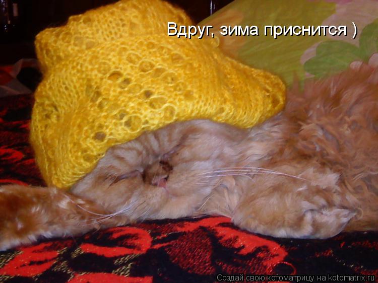 Вдруг, зима приснится )... Котоматрица: Вдруг, зима приснится )