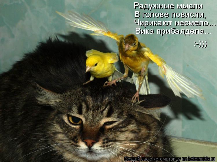 Котоматрица: Чирикают несмело... Радужные мысли В голове повисли, Вика прибалдела... :-)))
