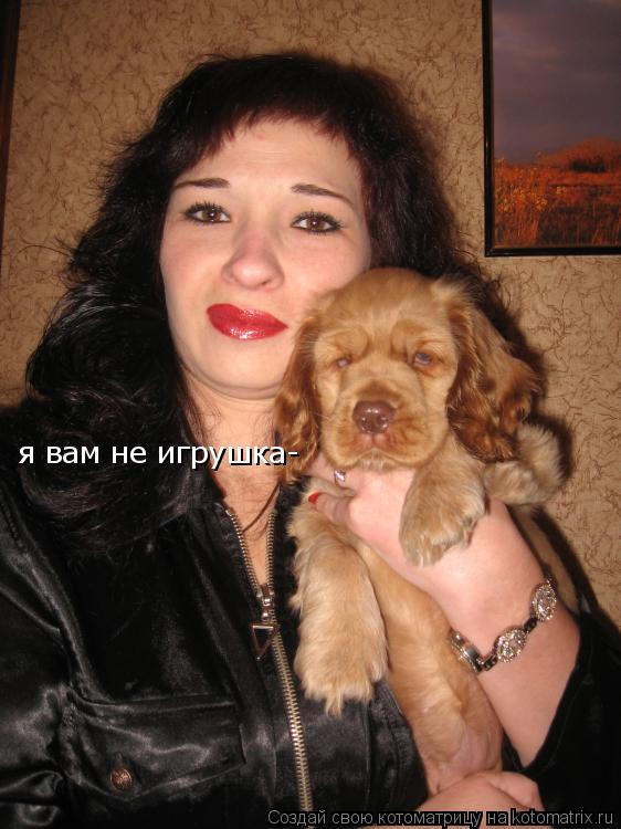 Котоматрица: я вам не игрушка-