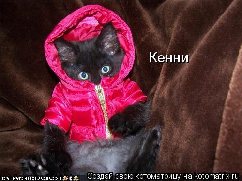 Котоматрица: Кенни