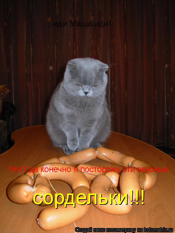 Котоматрица: иди Маша иди! Что? да конечно я посторожу эти вкусные   сордельки!!!