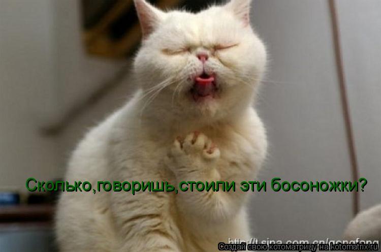 Котоматрица: Сколько,говоришь,стоили эти босоножки?