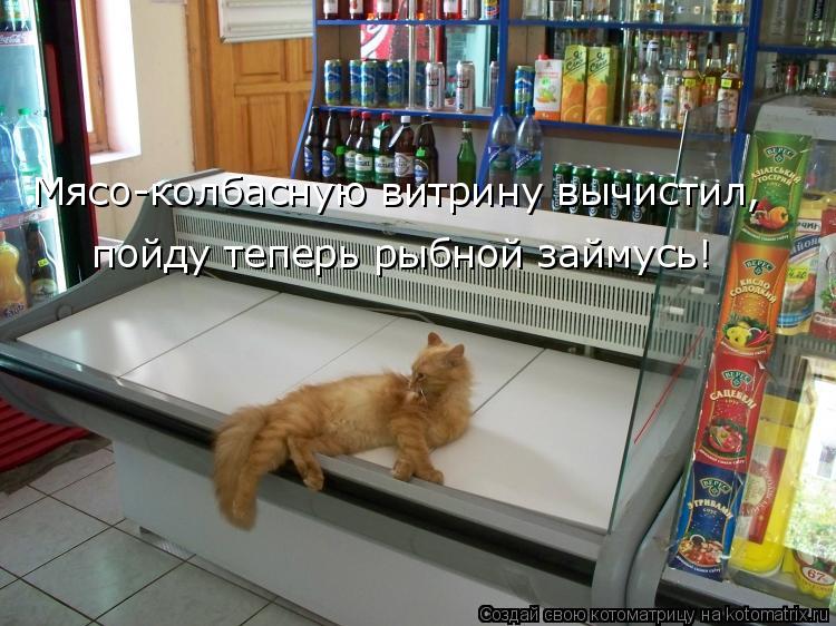 Мясо-колбасную витрину вычистил, пойду теперь рыбной займусь!... Котоматрица: Мясо-колбасную витрину вычистил, пойду теперь рыбной займусь!