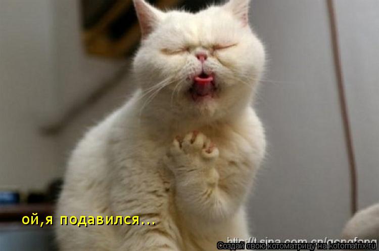 ой,я подавился...... Котоматрица: ой,я подавился...