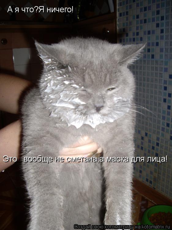 А я что?Я ничего! Это вообще не сметана,а маска для лица!... Котоматрица: А я что?Я ничего! Это вообще не сметана,а маска для лица!