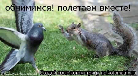обнимимся! полетаем вместе!... Котоматрица: обнимимся! полетаем вместе!