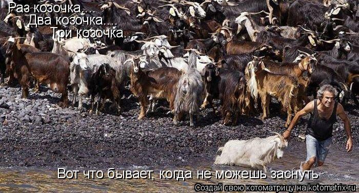 Котоматрица: Раз козочка.... Два козочка.... Три козочка.... Вот что бывает, когда не можешь заснуть