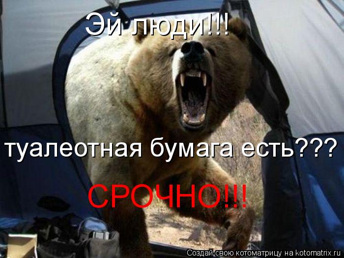 Котоматрица: Эй люди!!! туалеотная бумага есть??? СРОЧНО!!!