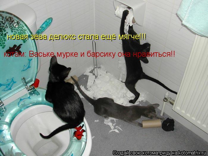 Котоматрица: новая зева делюкс стала ещё мягче!!! котам: Ваське,мурке и барсику она нравиться!!