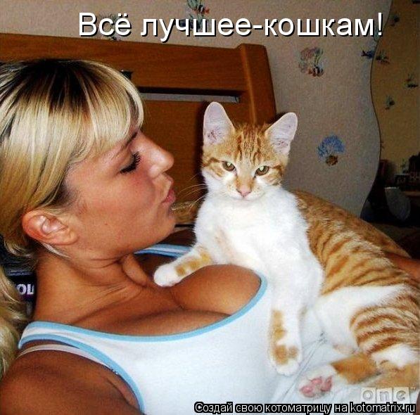 Котоматрица: Всё лучшее-кошкам!