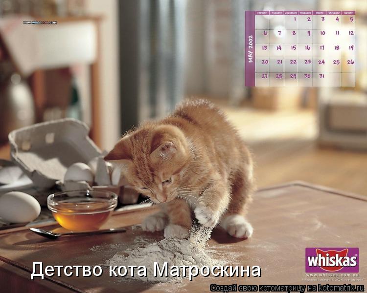 Котоматрица: Детство кота Матроскина