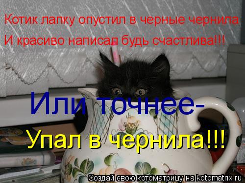 Котоматрица: Котик лапку опустил в черные чернила И красиво написал будь счастлива!!! Или точнее- Упал в чернила!!!