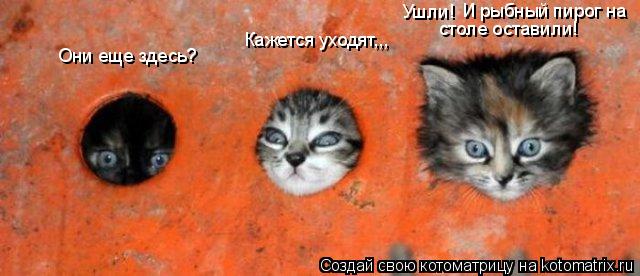 Котоматрица: Они еще здесь? Ушли!  И рыбный пирог на   столе оставили!  Кажется уходят,,,