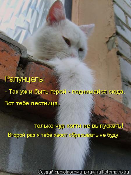 Котоматрица: Вот тебе лестница, только чур когти не выпускать! Рапунцель: - Так уж и быть герой - поднимайся сюда. Второй раз я тебе хвост сбрасывать не буд