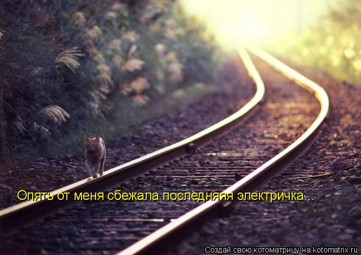 Опять от меня сбежала последняяя электричка...... Котоматрица: Опять от меня сбежала последняяя электричка...