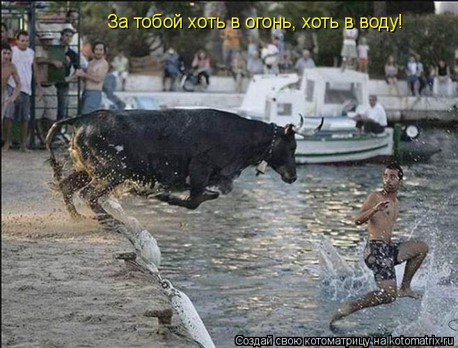 За тобой хоть в огонь, хоть в воду!... Котоматрица: За тобой хоть в огонь, хоть в воду!