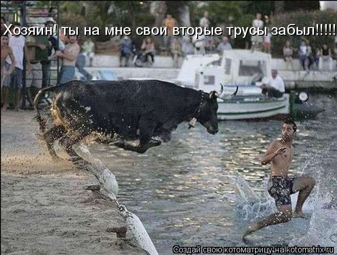 Хозяин! ты на мне свои вторые трусы забыл!!!!!!!!... Котоматрица: Хозяин! ты на мне свои вторые трусы забыл!!!!!!!!
