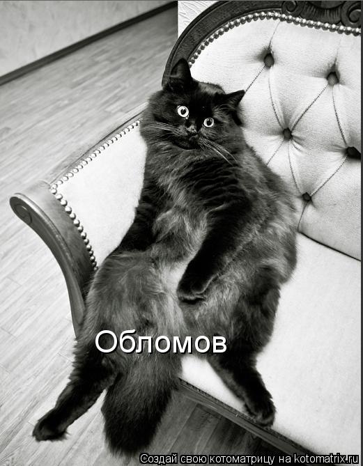 Обломов... Котоматрица: Обломов