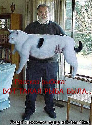 Рассказ рыбока: ВОТ ТАКАЯ РЫБА БЫЛА...!... Котоматрица: Рассказ рыбока: ВОТ ТАКАЯ РЫБА БЫЛА...!
