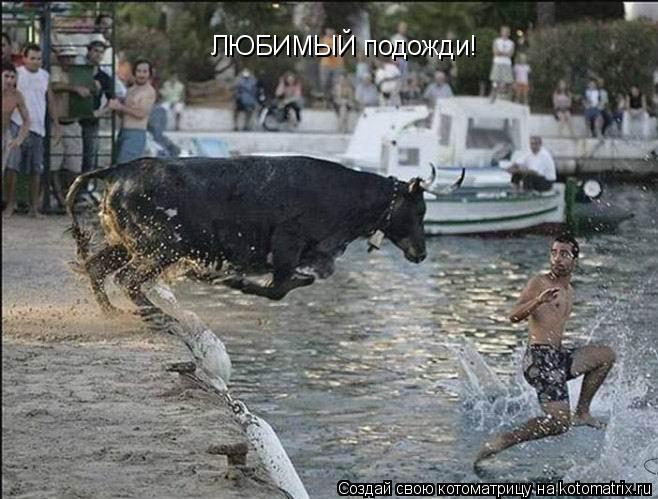 ЛЮБИМЫЙ подожди!... Котоматрица: ЛЮБИМЫЙ подожди!