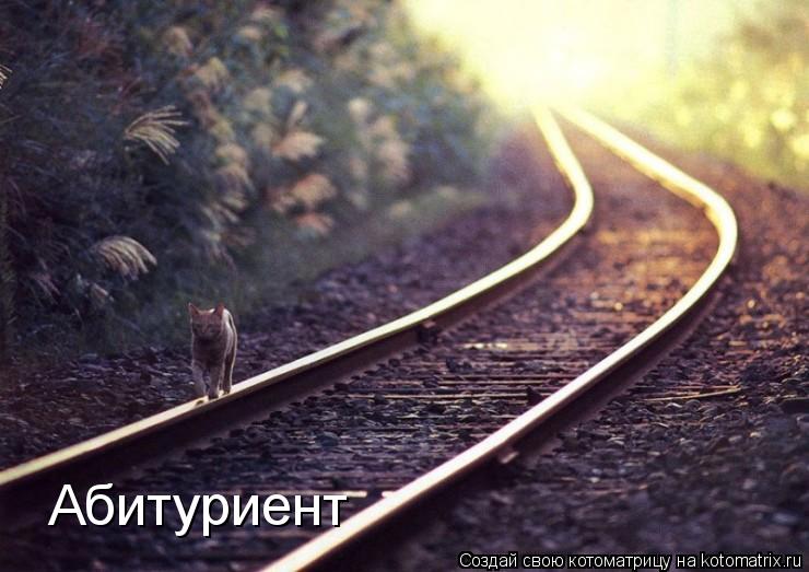 Абитуриент... Котоматрица: Абитуриент
