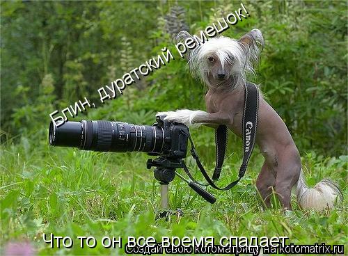 Блин, дуратский ремешок! Что то он все время спадает...... Котоматрица: Блин, дуратский ремешок! Что то он все время спадает...