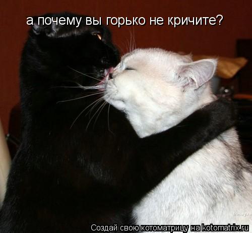 а почему вы горько не кричите?... Котоматрица: а почему вы горько не кричите?