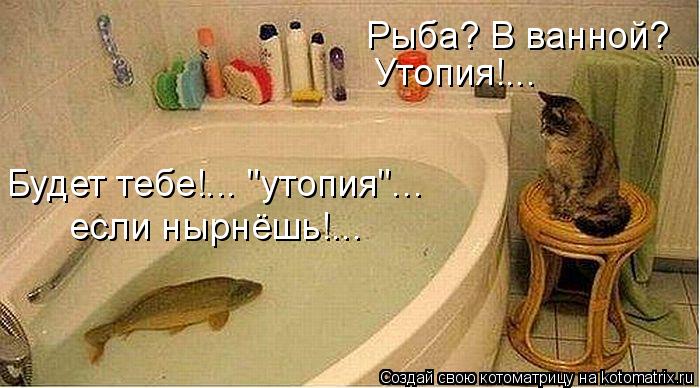 Рыба? В ванной? Утопия!... Будет тебе!... "утопия"... если нырнёшь!...... Котоматрица: Рыба? В ванной? Утопия!... Будет тебе!... "утопия"... если нырнёшь!...
