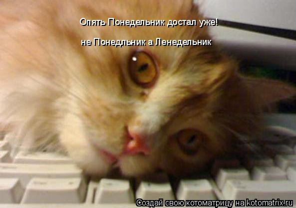 Опять Понедельник достал уже! не Понедльник а Ленедельник... Котоматрица: Опять Понедельник достал уже! не Понедльник а Ленедельник