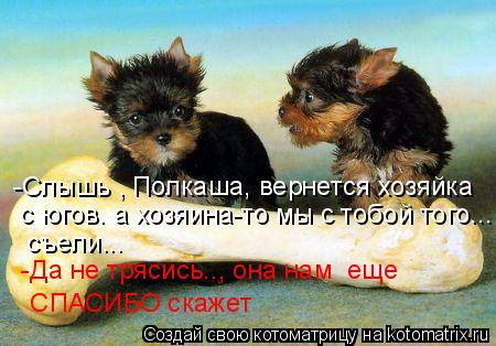 -Слышь , Полкаша, вернется хозяйка с югов. а хозяина-то мы с тобой того... съели... -Да не тряси... Котоматрица: -Слышь , Полкаша, вернется хозяйка с югов. а хозяина-то мы с тобой того... съели... -Да не трясись.., она нам еще СПАСИБО скажет