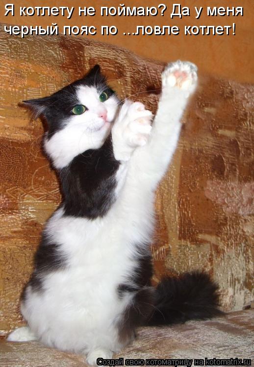 Я котлету не поймаю? Да у меня черный пояс по ...ловле котлет!... Котоматрица: Я котлету не поймаю? Да у меня черный пояс по ...ловле котлет!