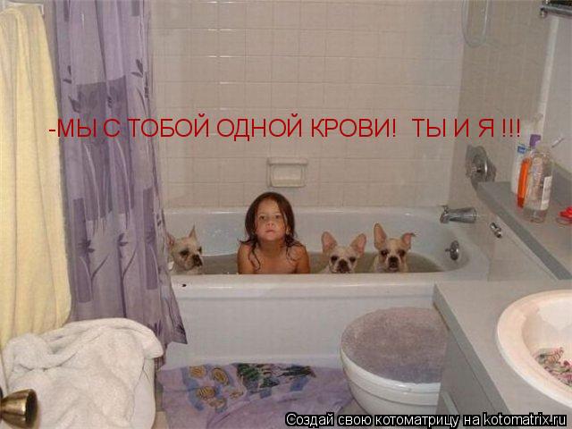 -МЫ С ТОБОЙ ОДНОЙ КРОВИ! ТЫ И Я !!!... Котоматрица: -МЫ С ТОБОЙ ОДНОЙ КРОВИ! ТЫ И Я !!!