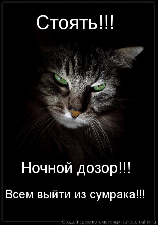 Ночной дозор!!! Всем выйти из сумрака!!! Стоять!!!... Котоматрица: Ночной дозор!!! Всем выйти из сумрака!!! Стоять!!!