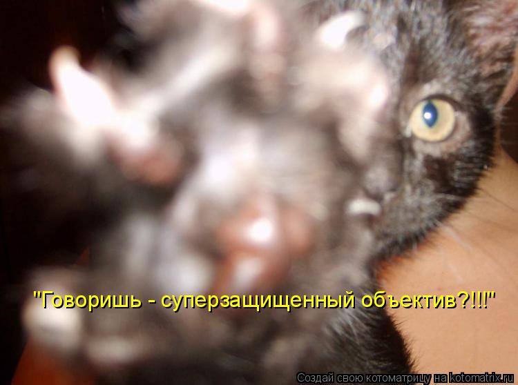"Говоришь - суперзащищенный объектив?!!!"... Котоматрица: "Говоришь - суперзащищенный объектив?!!!"