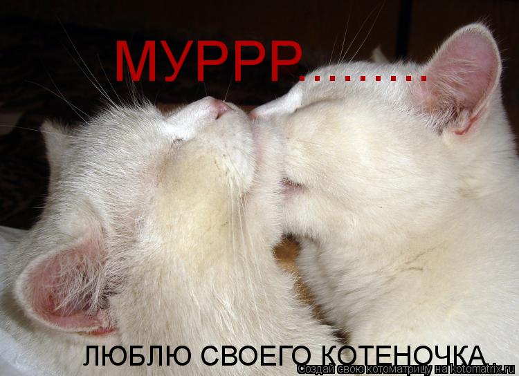 Котоматрица: МУРРР......... ЛЮБЛЮ СВОЕГО КОТЕНОЧКА