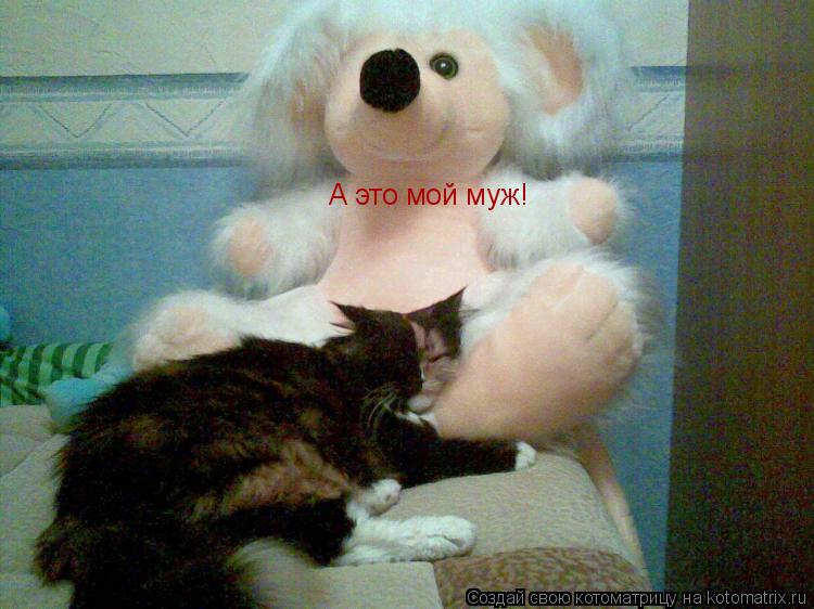 А это мой муж!... Котоматрица: А это мой муж!