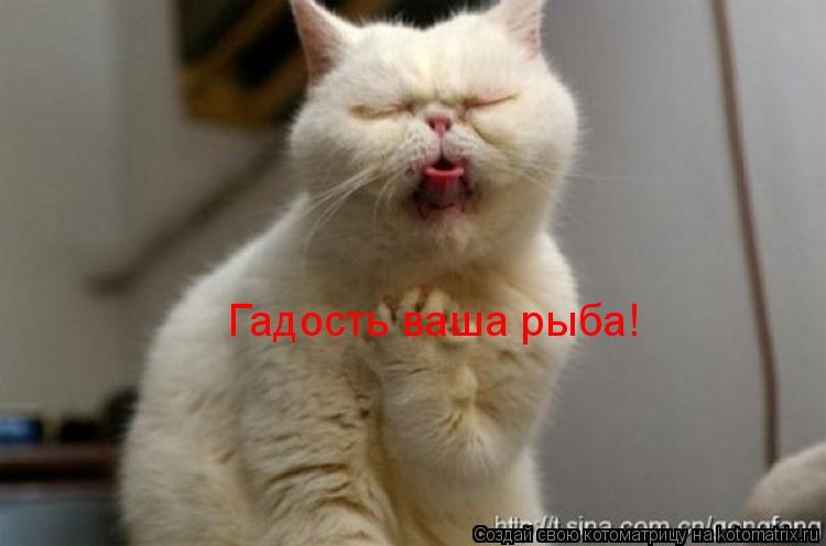 Котоматрица: Гадость ваша рыба! Гадость ваша рыба!